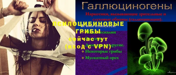 твердый Володарск