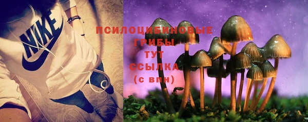 дурь Волоколамск