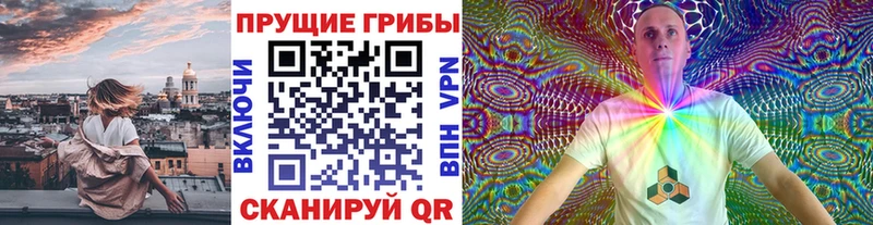 купить  сайты  Назрань  Псилоцибиновые грибы MAGIC MUSHROOMS 